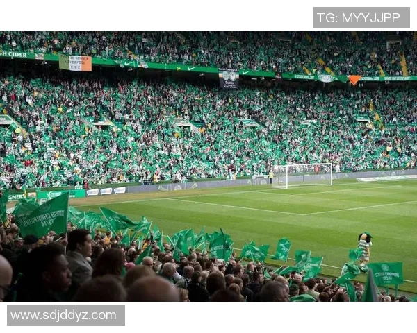 凯尔特人对圣约翰比赛前瞻及比分预测分析