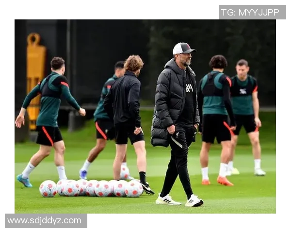 澳维超布林狮子迎战墨尔本骑士力争主场胜利展现实力 澳维超布林狮子迎战墨尔本骑士力争主场胜利展现实力